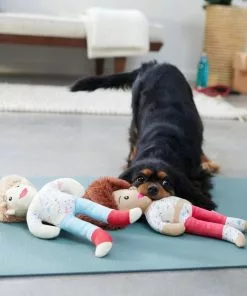 Frisco Dance Girls Plush Squeaky Dog Toy, 2 count -The Frisco Store 288899 PT3. SY630 V1638288432