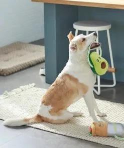 Frisco Healthy Snack Plush with Rope Dog Toy, 2 count -The Frisco Store 288901 PT3. SY630 V1638291173