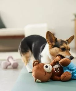 Frisco Yoga Bear Plush Squeaky Dog Toy -The Frisco Store 288903 PT3. SY630 V1638288516