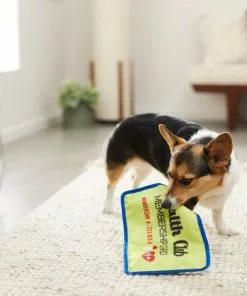 Frisco Gym Membership Card Flat Plush Squeaky Dog Toy -The Frisco Store 288909 PT3. SY630 V1638288963