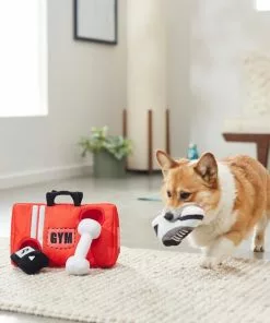 Frisco Gym Bag Hide & Seek Puzzle Plush Squeaky Dog Toy -The Frisco Store 288913 PT3. SY630 V1638289728