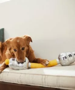 Frisco Weight Bar Wagazoo Plush Squeaky Dog Toy -The Frisco Store 288917 PT3. SY630 V1638292413