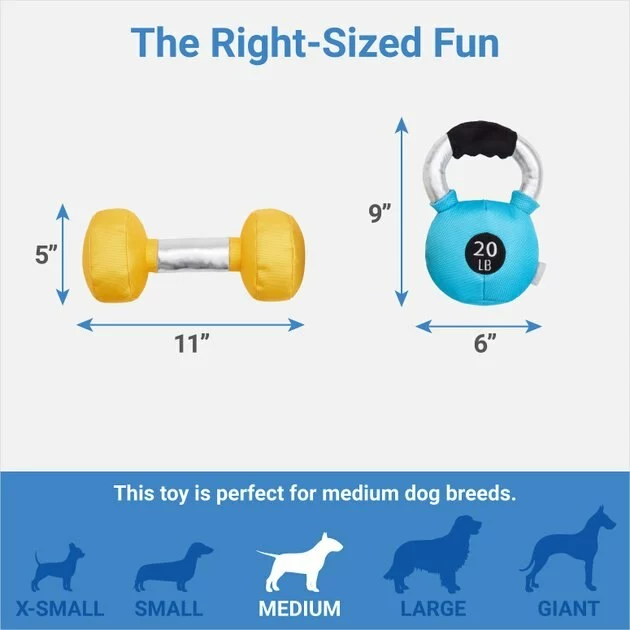 Frisco Dumbell & Kettleball Plush Squeaky Dog Toy, 2 count 4 Frisco Dumbell & Kettleball Plush Squeaky Dog Toy, 2 count - Image 2