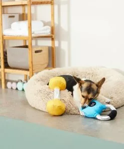 Frisco Dumbell & Kettleball Plush Squeaky Dog Toy, 2 count 7 Frisco Dumbell & Kettleball Plush Squeaky Dog Toy, 2 count -The Frisco Store 288919 PT3. SY630 V1638288628