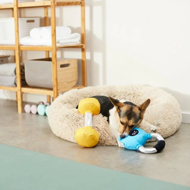 Frisco Dumbell & Kettleball Plush Squeaky Dog Toy, 2 count 5 Frisco Dumbell & Kettleball Plush Squeaky Dog Toy, 2 count - Image 3