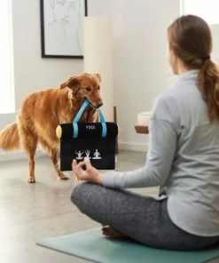 Frisco Yoga Mat Plush Squeaky Dog Toy -The Frisco Store 288923 PT3. SY630 V1638290551