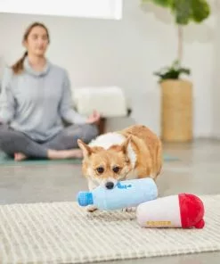 Frisco Protein & Water Bottle Cruncher Dog Toy, 2 count 7 Frisco Protein & Water Bottle Cruncher Dog Toy, 2 count -The Frisco Store 288927 PT3. SY630 V1638291847