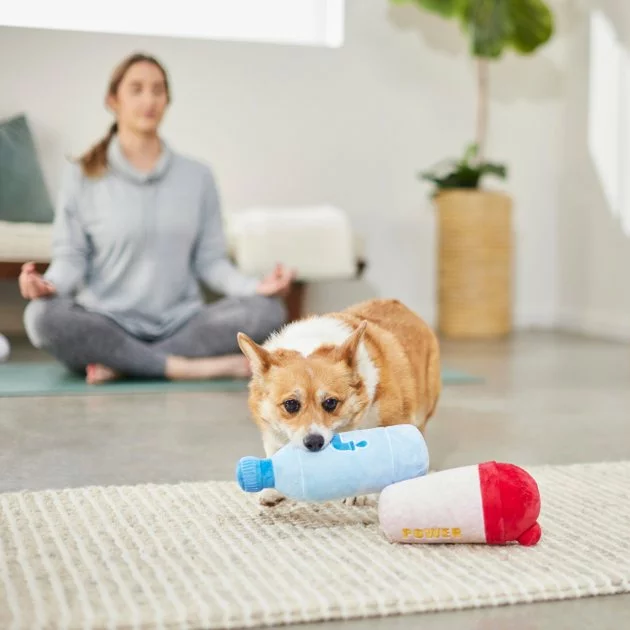 Frisco Protein & Water Bottle Cruncher Dog Toy, 2 count 5 Frisco Protein & Water Bottle Cruncher Dog Toy, 2 count - Image 3