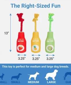 Frisco Juice Cleanse Plush Squeaky Dog Toy, 3 count -The Frisco Store 288929 PT1. SY630 V1640722486