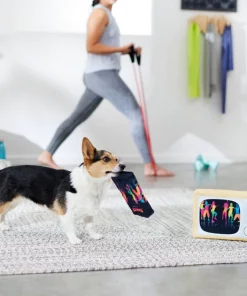 Frisco TV & VHS Tape Plush Squeaky Dog Toy, 2 count 7 Frisco TV & VHS Tape Plush Squeaky Dog Toy, 2 count -The Frisco Store 288935 PT3. SY630 V1638291435