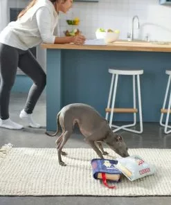 Frisco Cookbooks Plush Squeaky Dog Toy, 2 count 7 Frisco Cookbooks Plush Squeaky Dog Toy, 2 count -The Frisco Store 288937 PT3. SY630 V1638287852