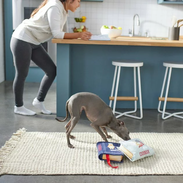 Frisco Cookbooks Plush Squeaky Dog Toy, 2 count 5 Frisco Cookbooks Plush Squeaky Dog Toy, 2 count - Image 3