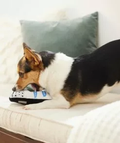 Frisco Cell Phone Plush Squeaky Dog Toy 7 Frisco Cell Phone Plush Squeaky Dog Toy -The Frisco Store 288939 PT3. SY630 V1638292274