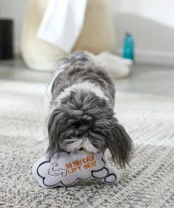 Frisco Message Bubble Plush Squeaky Dog Toy -The Frisco Store 288941 PT3. SY630 V1638289328