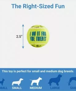 Frisco Motivational Tennis Balls Plush Squeaky Dog Toy, 3 count -The Frisco Store 288943 PT1. SY630 V1640722565