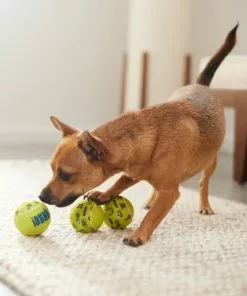 Frisco Motivational Tennis Balls Plush Squeaky Dog Toy, 3 count -The Frisco Store 288943 PT3. SY630 V1638288373