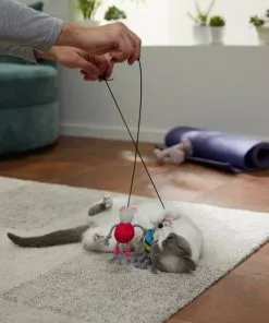 Frisco Gym Bouncy Mice Plush Cat Toy with Catnip, 2 count 7 Frisco Gym Bouncy Mice Plush Cat Toy with Catnip, 2 count -The Frisco Store 288949 PT3. SY630 V1638289802