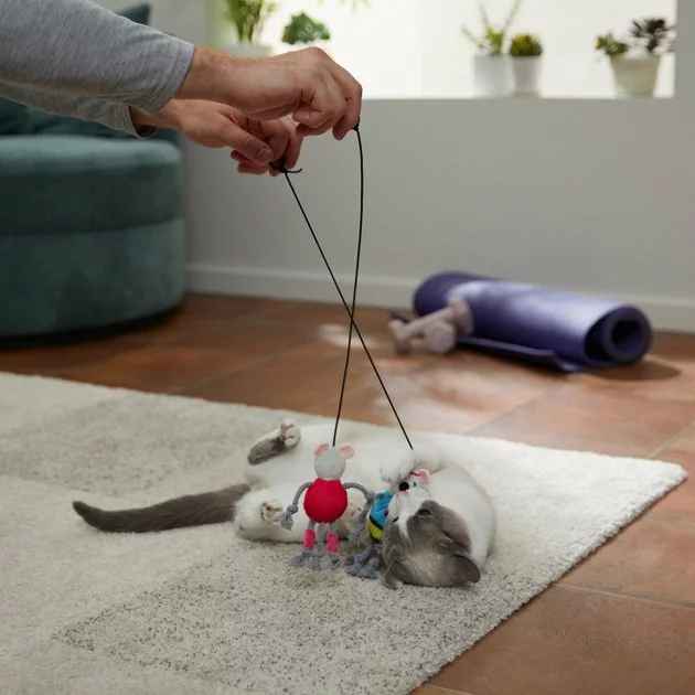 Frisco Gym Bouncy Mice Plush Cat Toy with Catnip, 2 count 5 Frisco Gym Bouncy Mice Plush Cat Toy with Catnip, 2 count - Image 3