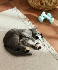 Frisco Pre-Workout & Protein Plush Cat Toy with Catnip, 3 count -The Frisco Store 288953 PT3. SY630 V1638287817