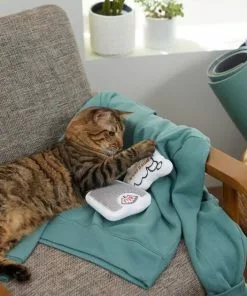 Frisco Scale & Message Bubble Plush Cat Toy with Catnip, 2 count -The Frisco Store 288959 PT3. SY630 V1638288401