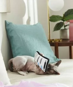 Frisco Cell Phone Plush Cat Toy with Catnip -The Frisco Store 288961 PT3. SY630 V1638290119