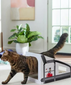 Frisco Treadmill Cardboard Cat House -The Frisco Store 288967 PT3. SY630 V1638288289