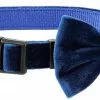 Frisco Velvet Dog Collar With Removeable Velvet Bow -The Frisco Store 289734 MAIN. SY630 V1632185202