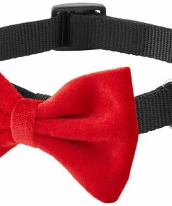 Frisco Removeable Velvet Collar Bow -The Frisco Store 289810 PT5. SY630 V1632186369