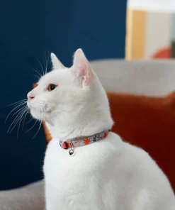 Frisco Mountain Leaves Cat Collar, 8-12 Inches, 3/8-in wide -The Frisco Store 291320 PT3. SY630 V1629771203