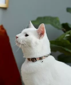 Frisco Thanksgiving Turkey Cat Collar, 8-12 Inches, 3/8-in wide 7 Frisco Thanksgiving Turkey Cat Collar, 8-12 Inches, 3/8-in wide -The Frisco Store 291323 PT3. SY630 V1629771382