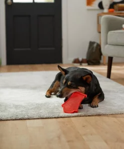 Frisco Nylon Headstone Halloween Dog Chew Toy, Peanut Butter Flavor, Medium -The Frisco Store 291383 PT3. SY630 V1623179554