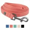 Frisco Monochromatic Dog Leash 2 Frisco Monochromatic Dog Leash -The Frisco Store 291585 MAIN. SY630 V1638456132