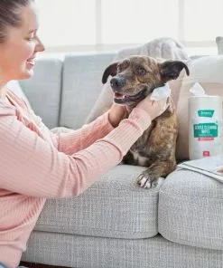Frisco Gentle Cleaning Waterless Grooming Wipes for Puppies & Kittens, Green Tea Scent -The Frisco Store 291592 PT4. SY630 V1627306695