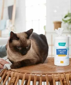Frisco Deodorizing Paw & Bum Waterless Grooming Wipes for Dogs & Cats -The Frisco Store 291593 PT5. SY630 V1627653728