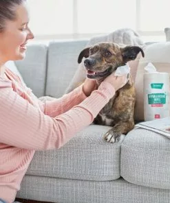 Frisco Hypoallergenic Waterless Grooming Wipes for Dogs & Cats, Soothing Chamomile, 80 count 12 Frisco Hypoallergenic Waterless Grooming Wipes for Dogs & Cats, Soothing Chamomile, 80 count -The Frisco Store 291595 PT4. SY630 V1627306706