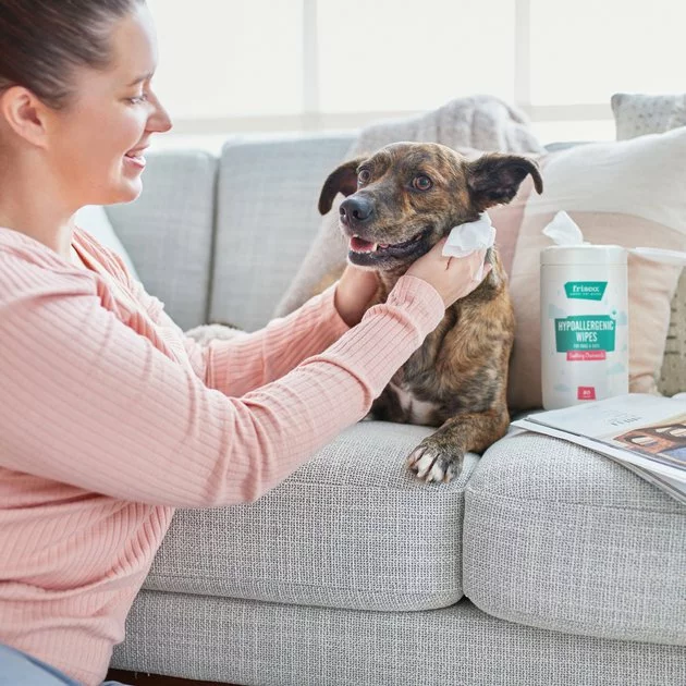 Frisco Hypoallergenic Waterless Grooming Wipes for Dogs & Cats, Soothing Chamomile, 80 count 7 Frisco Hypoallergenic Waterless Grooming Wipes for Dogs & Cats, Soothing Chamomile, 80 count - Image 5