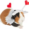 Frisco Guinea Pig Cupid Costume 1 Frisco Guinea Pig Cupid Costume -The Frisco Store 292198 MAIN. SY630 V1637269646