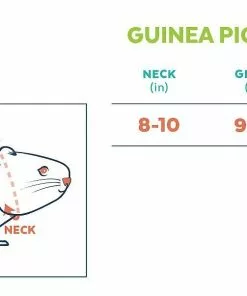 Frisco Guinea Pig Floral Dress -The Frisco Store 292200 PT1. SY630 V1641508017