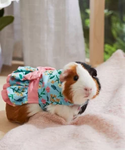 Frisco Guinea Pig Floral Dress -The Frisco Store 292200 PT4. SY630 V1641540431