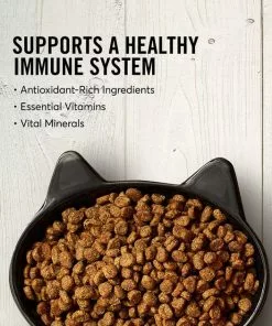 American Journey||Frisco American Journey Turkey & Chicken Recipe Grain-Free Dry Food + Frisco Cactus Cat Scratching Post, 22-in -The Frisco Store 292646 PT3. SY630 V1619980344