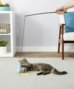 Fancy Feast||Frisco Fancy Feast Tender Feast Canned Food + Frisco Bird Teaser with Feathers Cat Toy, Blue -The Frisco Store 292976 PT5. SY630 V1620009422