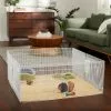 Frisco Wire Small Pet Playpen with Door, 15-in