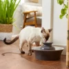 Frisco Ceramic Dog & Cat Fountain, Gray, 64-oz -The Frisco Store 297218 MAIN. SY630 V1633549648