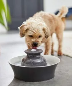 Frisco Ceramic Dog & Cat Fountain, Gray, 64-oz -The Frisco Store 297218 PT4. SY630 V1633549585