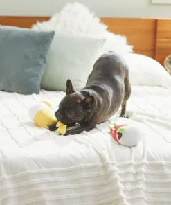 Frisco Brunch Bottomless Mimosas Plush Squeaky Dog Toy, 2 count -The Frisco Store 297226 PT2. SY630 V1642088368