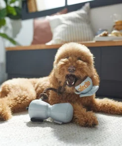 Frisco Brunch Coffee Pitcher Plush with Rope Squeaky Dog Toy -The Frisco Store 297234 PT2. SY630 V1642088693