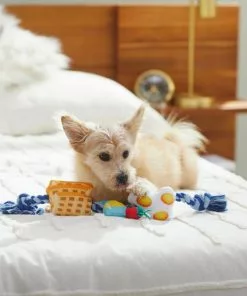 Frisco Brunch Breakfast Favorites Plush with Rope Squeaky Dog Toy -The Frisco Store 297236 PT2. SY630 V1642088507
