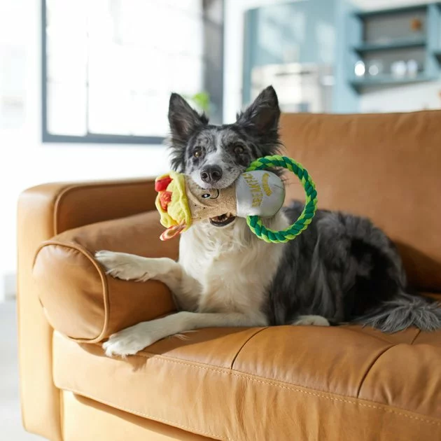 Frisco Brunch Breakfast Burrito Plush with Rope Squeaky Dog Toy 5 Frisco Brunch Breakfast Burrito Plush with Rope Squeaky Dog Toy - Image 3