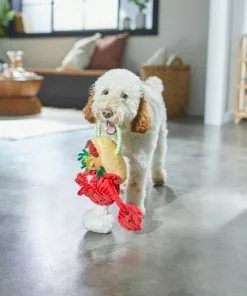 Frisco Brunch Lobster Roll Plush with Rope Squeaky Dog Toy -The Frisco Store 297240 PT2. SY630 V1642088431