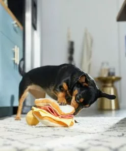 Frisco Brunch Egg in Hole 2-in-1 Plush Squeaky Dog Toy -The Frisco Store 297246 PT3. SY630 V1642089088